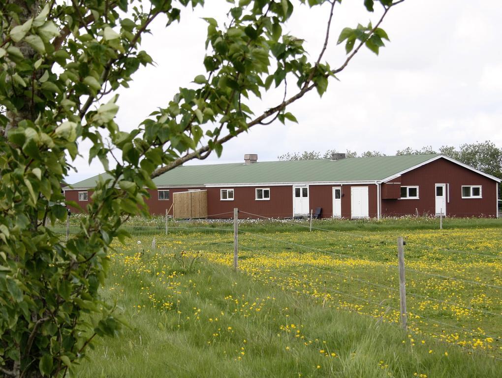 Kaldbakur Guesthouse Heimaland Eksteriør bilde