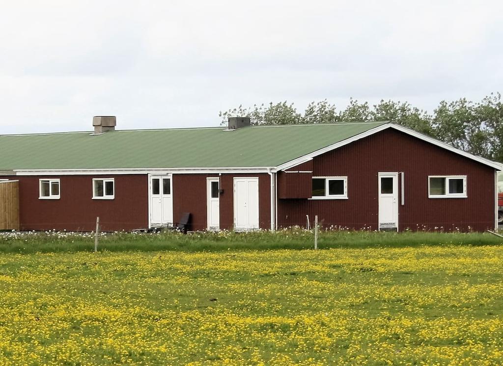 Kaldbakur Guesthouse Heimaland Eksteriør bilde