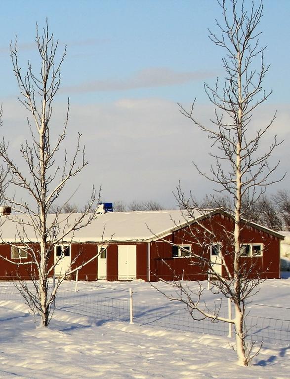 Kaldbakur Guesthouse Heimaland Eksteriør bilde